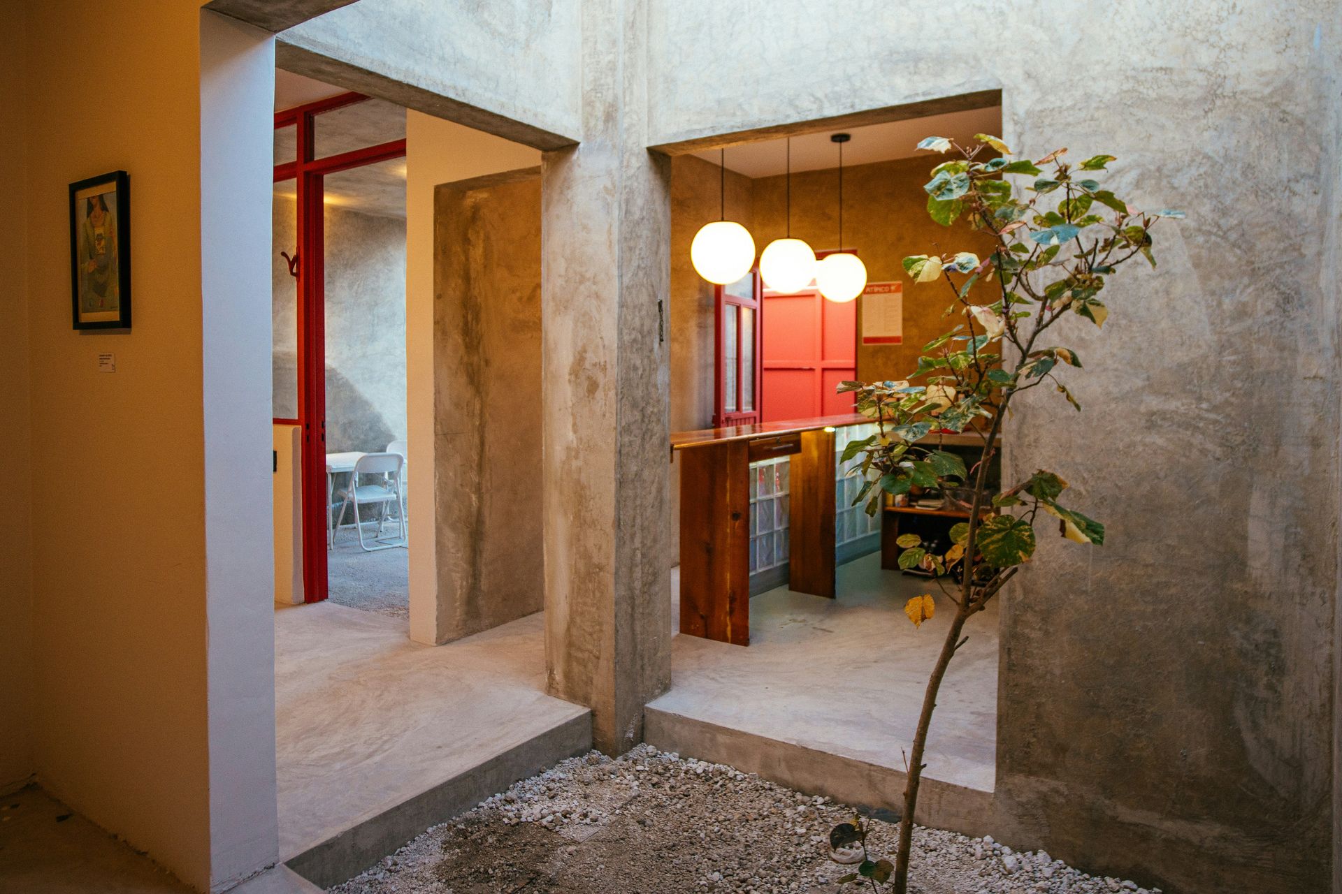 Modern interior courtyard with concrete walls and plants.